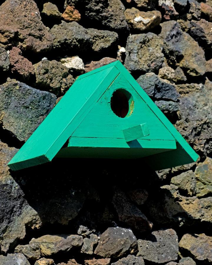 Parrots'Village Rabo de Peixe Kültér fotó