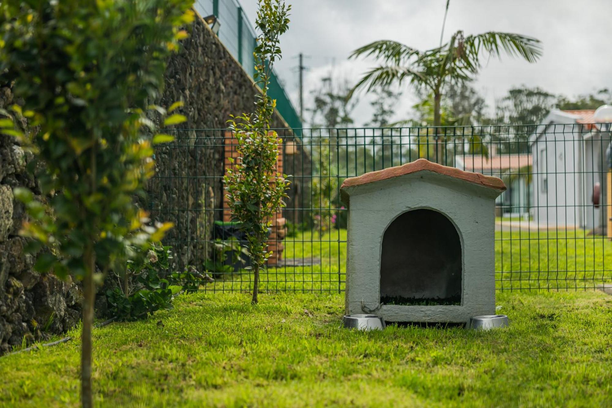 Parrots'Village Rabo de Peixe Kültér fotó
